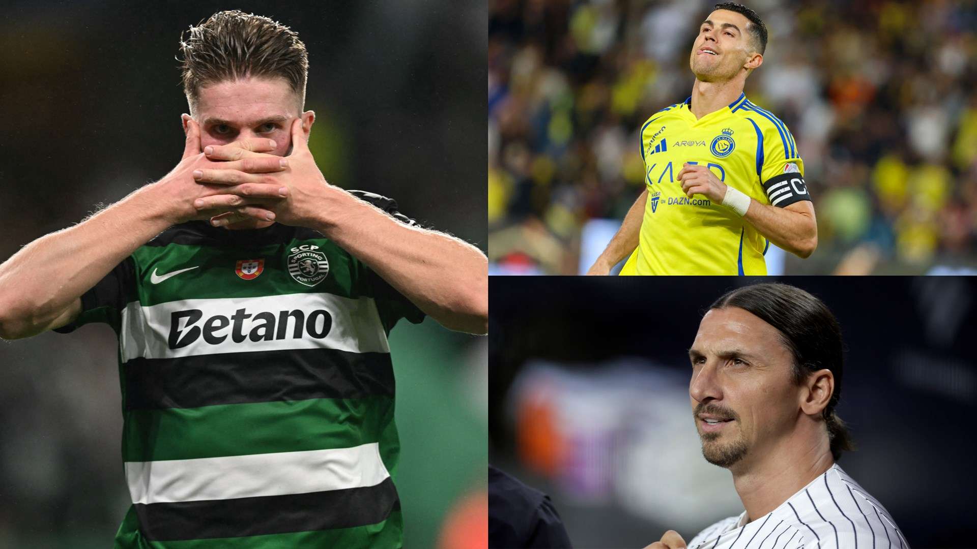 全球的球迷 全球的球迷